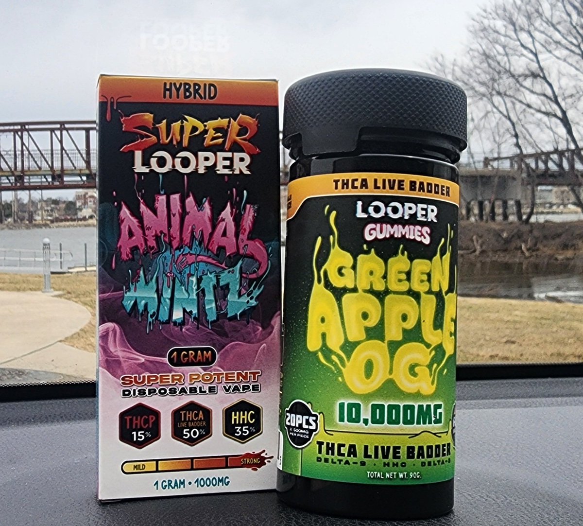 miketys74469185's tweet photo. Thank you very much @thelooperverse for the amazing stuff from the discord π₯π₯ππππβοΈπ― https://t.co/YH8bD28EQP
#LooperFam https://t.co/w1Am63WGqN