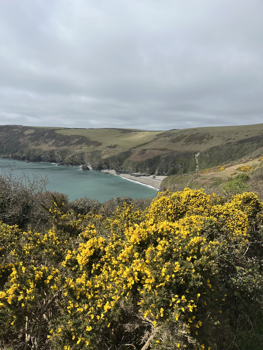 Will 〓〓💙 tweet media