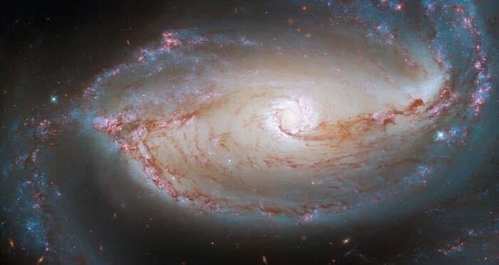 Cron_Silenzio's tweet photo. #Hubble #NASA #ESA
#Hubble35
Occhio della Galassia
Questa immagine finemente dettagliata mostra il cuore di #NGC_1097, una galassia a spirale barrata che si trova a circa 48 milioni di anni luce dalla Terra nella costellazione di #Fornace ⬇️ https://t.co/3tqwbsr6Xn