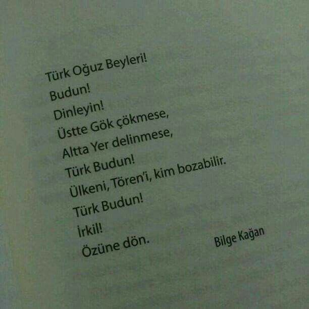 Bürküt. (@hurriyetulan) on Twitter photo 
