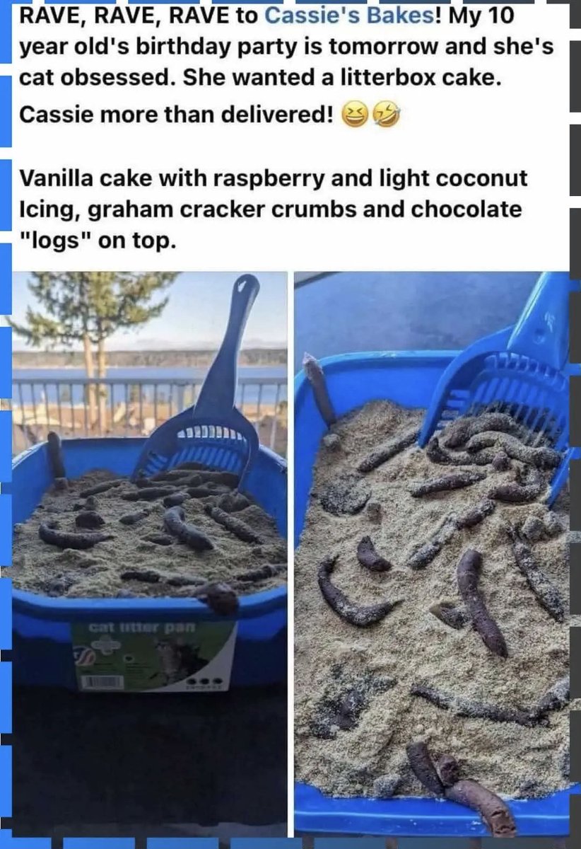 😂😂😂