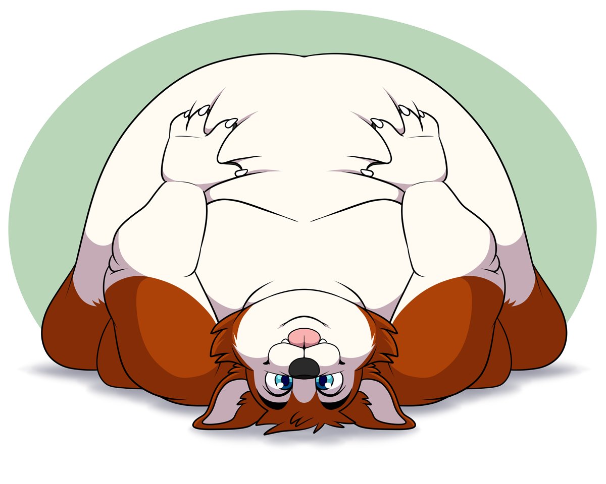 RobTheChubbyHusky tweet media