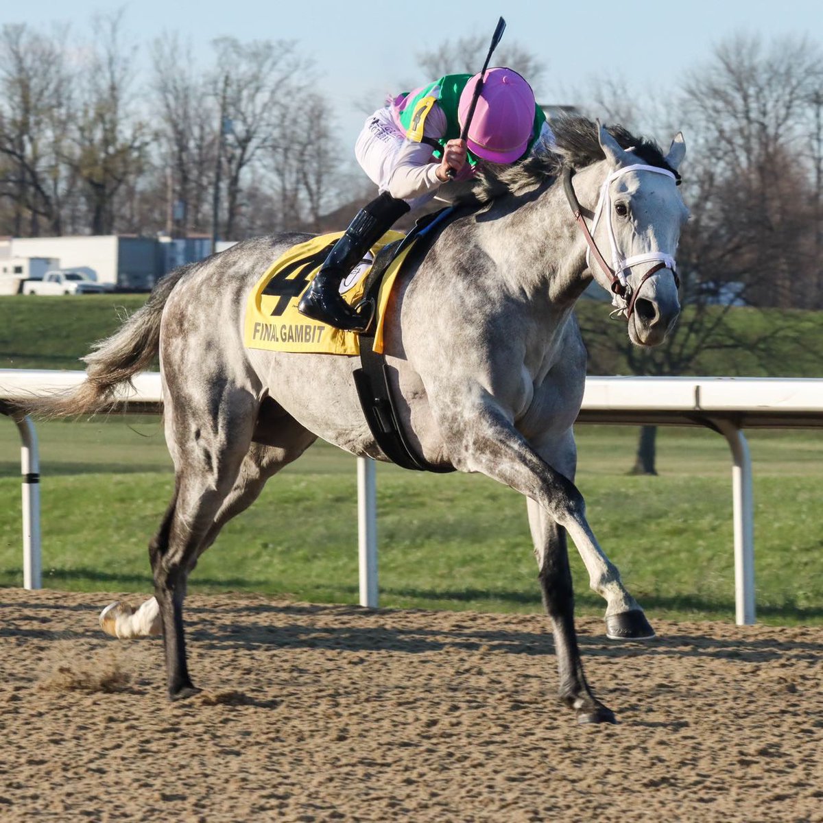 bgb_rig's tweet photo. What a memorable day at Turfway Park! A masterful ride by @luanmachado85 giving Final Gambit his first graded stakes win in the Jeff Ruby Steaks. Congrats to all the connections.

Thank you for allowing Bluegrass Brothers to be part of an unforgettable day! 🏆

@bradcoxracing @JuddmonteFarms @TurfwayPark @TheRealJeffRuby  

📸: @cadycoulardot 

#bluegrassbrothers #lifestylerootedingreatness #rootedingreatness #turfwaypark #jeffrubysteaks #teammachado #derbybound #derbyprep #kentuckyderby #derby151