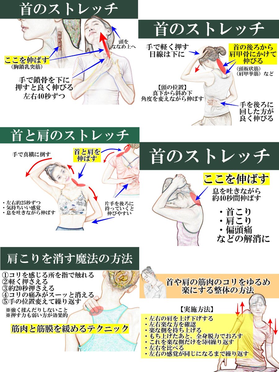 topi3001's tweet photo. 超超超超重要！首まわりの筋肉は、日常生活のガチで影響を及ぼします。首こり、肩こりだけでなく、「偏頭痛」「ストレートネック」「視力」「頸椎ヘルニア」「４０肩」「猫背」「巻き肩」「メンタル」「ストレス」「疲労」「だるさ」につながる。力技で伸ばすのではなく、心地よさを大切にしてください。本気で柔らかくしたい人におススメの秘訣とは…
