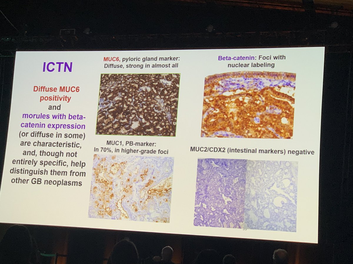 DrNguyenhiep's tweet photo. #USCAP2025 #ICTN https://t.co/rWlOr223I7
