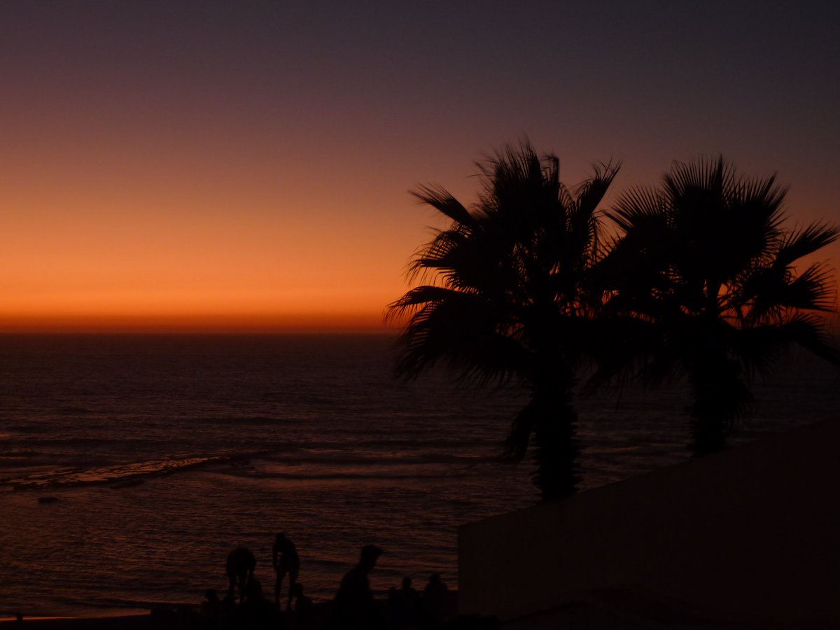 soon life will look like this again