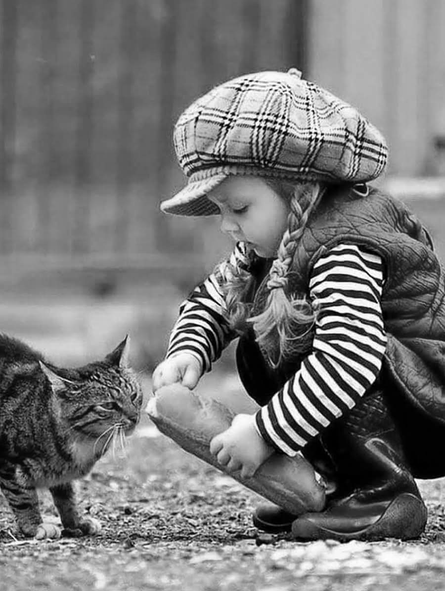 "لا تبحثوا عن الشخص الذي عنده الخير، إبحثوا عن الشخص الذي فيه خير، فما أكثر الذين عندهم خير و لكن لا خيرُ فيهٌم."