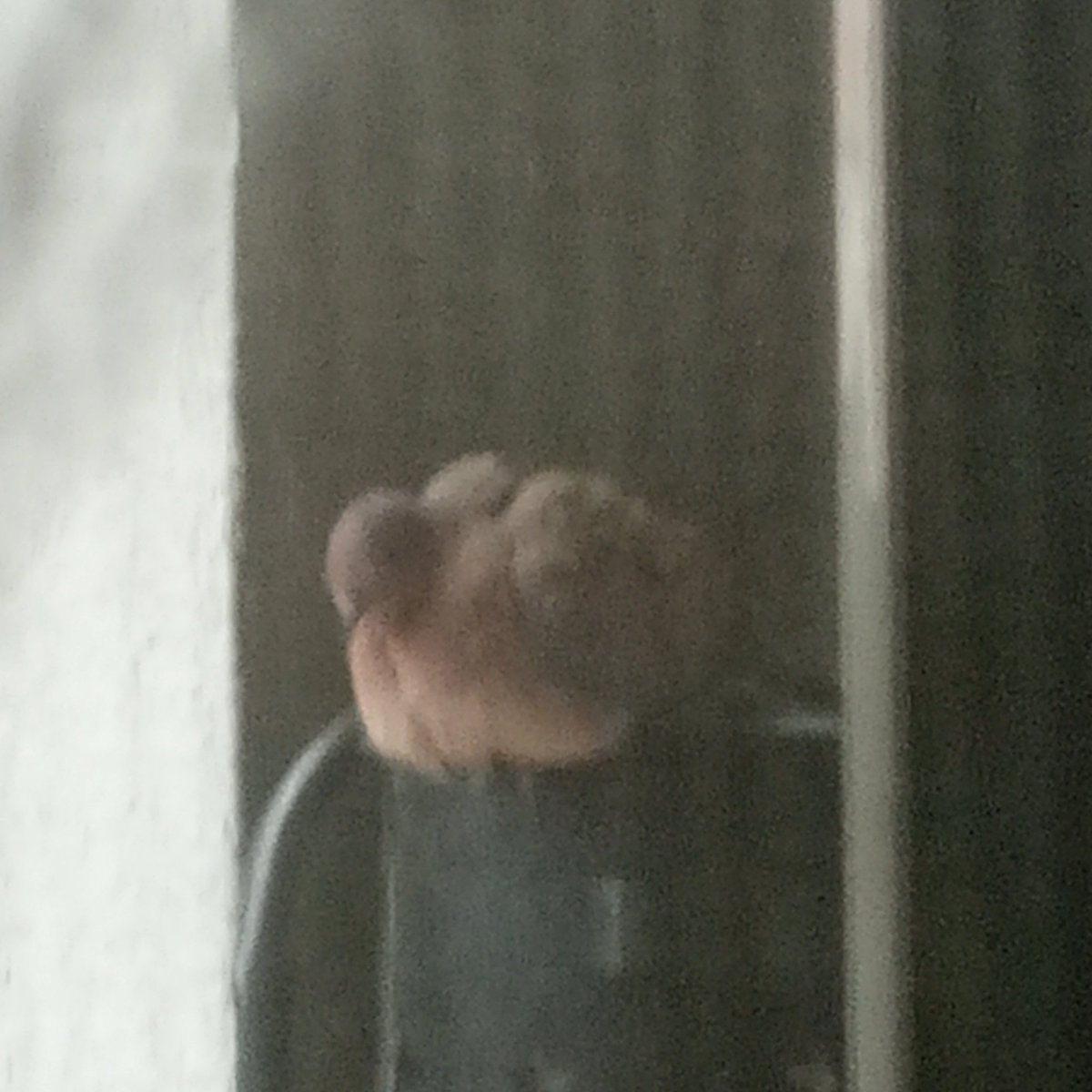 Balkon'dan gizlice telefonla fotoğrafını çektiğim kuş. Aynı bizim gibi bu zamlar ne zaman bitecek bakışı atıyor.