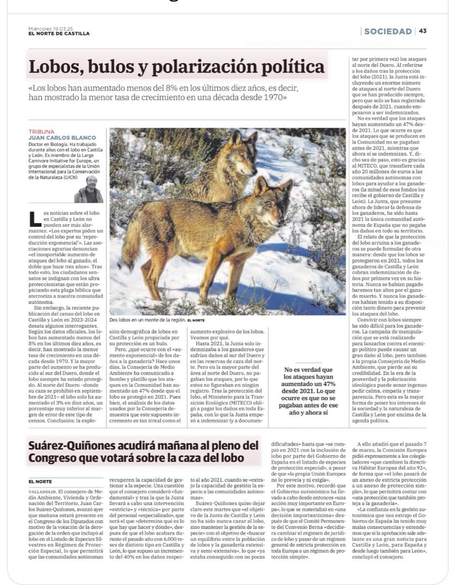 Juan Carlos Blanco, un expert en llop explica les falsetats i falta d’objectivitat darrere les afirmacions de partits que volen reprendre la cacera del llop. Politica per desgastar l’adversari i populisme per sumar vots de col·lectius com el ramader on els problemes son altres.