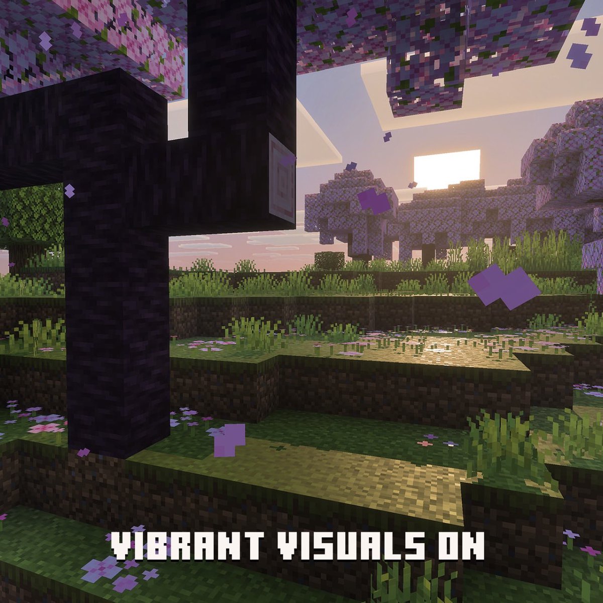 itiswattles's tweet image. i am still in shock that we are getting a vanilla minecraft graphics update and on both versions too