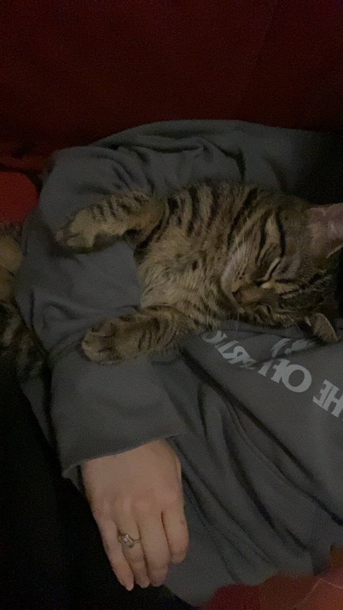 lokimimii's tweet image. gros dodo dans les bras de maman ❤️