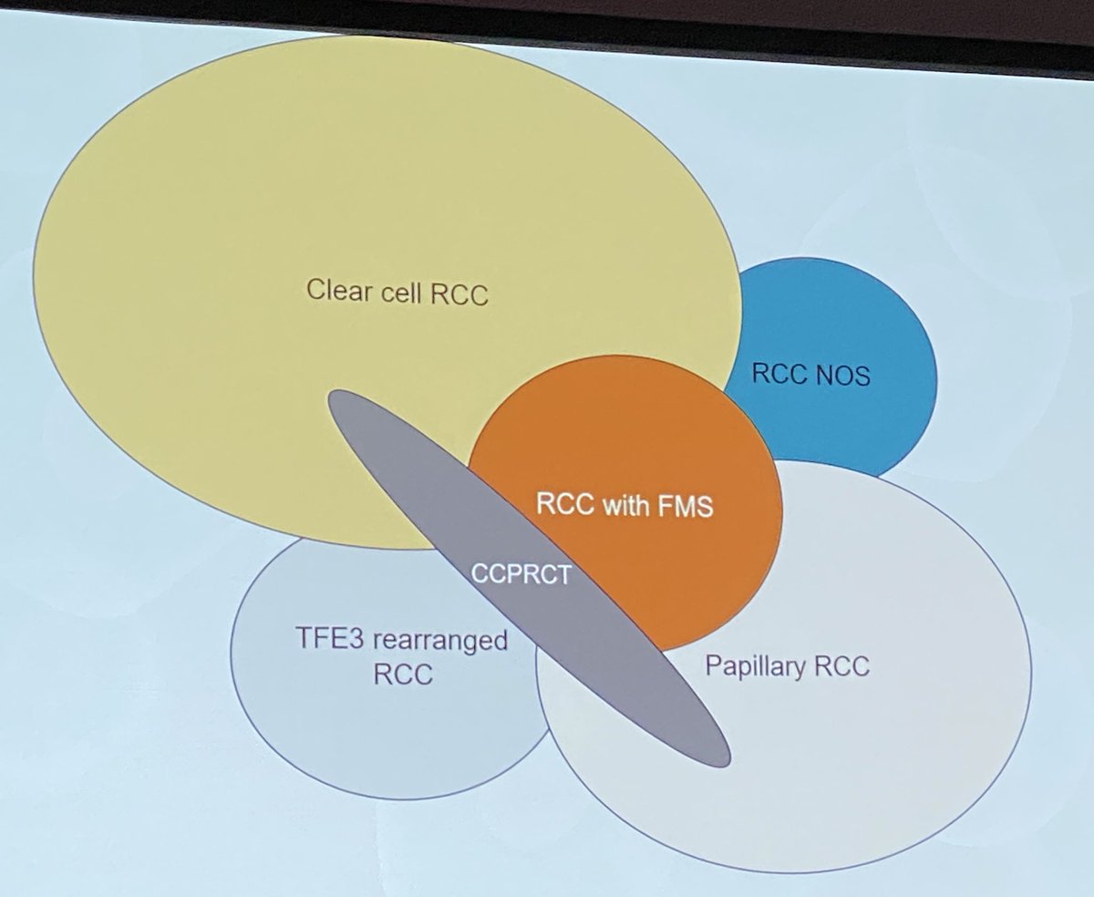 ROHIT MEHRA (@drmehrarohit) on Twitter photo Dr Lara Harik wonderfully highlighting the differential diagnosis and delicate interplay of renal tumors esp those with fibromyomatous stroma #kidneycancer #pathology #USCAP2025 <a href="/GU_Path_Society/">GU Pathology Society (GUPS)</a> Dr Lara Harik wonderfully highlighting the differential diagnosis and delicate interplay of renal tumors esp those with fibromyomatous stroma #kidneycancer #pathology #USCAP2025 <a href="/GU_Path_Society/">GU Pathology Society (GUPS)</a>