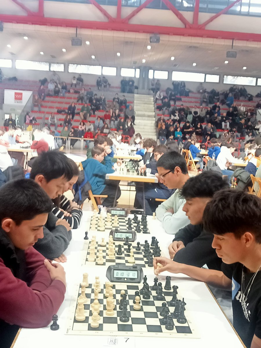 Federación Madrileña de Ajedrez tweet media