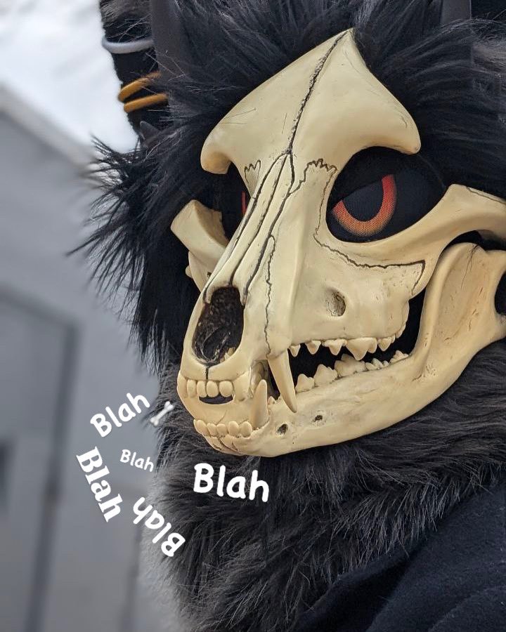 Are you even listening?? 

#skulldog #FurnalEquinox2025