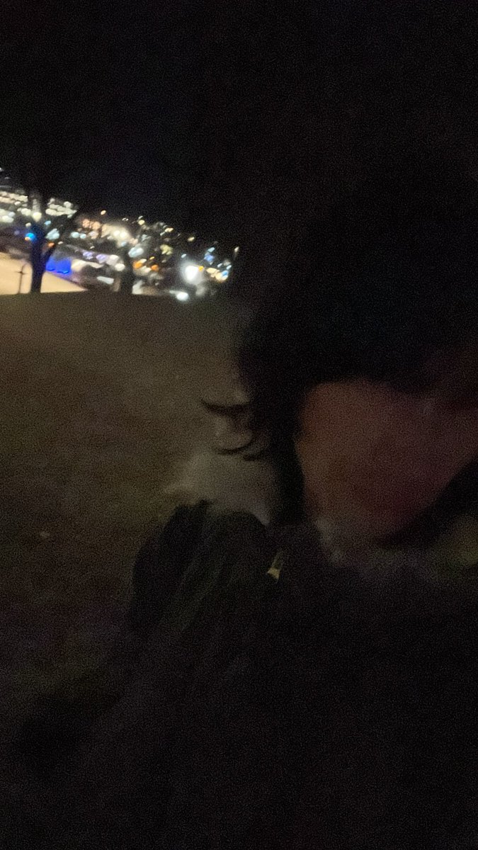 SemiAuto's tweet image. Oslo