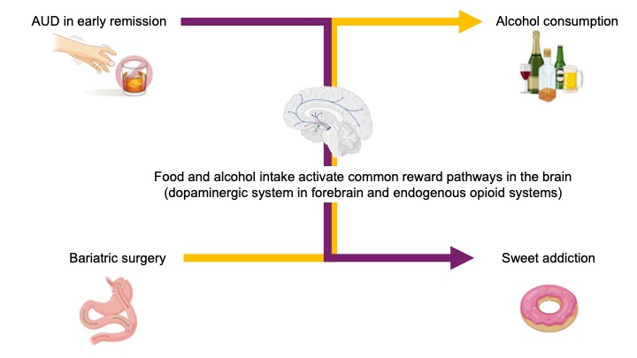 David Marti Aguado (@dmarti_aguado) on Twitter photo From Food to Alcohol: Why Some Patients Develop New Addictions After Bariatric Surgery
Take a look at this review by <a href="/Edilmaralvarado/">Edilmar Alvarado</a> <a href="/rabataller/">Ramon Bataller</a> <a href="/GrupoJovenAEEH/">Grupo Joven AEEH</a> <a href="/AEEHLiver/">Asociación Española para el Estudio del Hígado</a>
sciencedirect.com/science/articl… From Food to Alcohol: Why Some Patients Develop New Addictions After Bariatric Surgery
Take a look at this review by <a href="/Edilmaralvarado/">Edilmar Alvarado</a> <a href="/rabataller/">Ramon Bataller</a> <a href="/GrupoJovenAEEH/">Grupo Joven AEEH</a> <a href="/AEEHLiver/">Asociación Española para el Estudio del Hígado</a>
sciencedirect.com/science/articl…