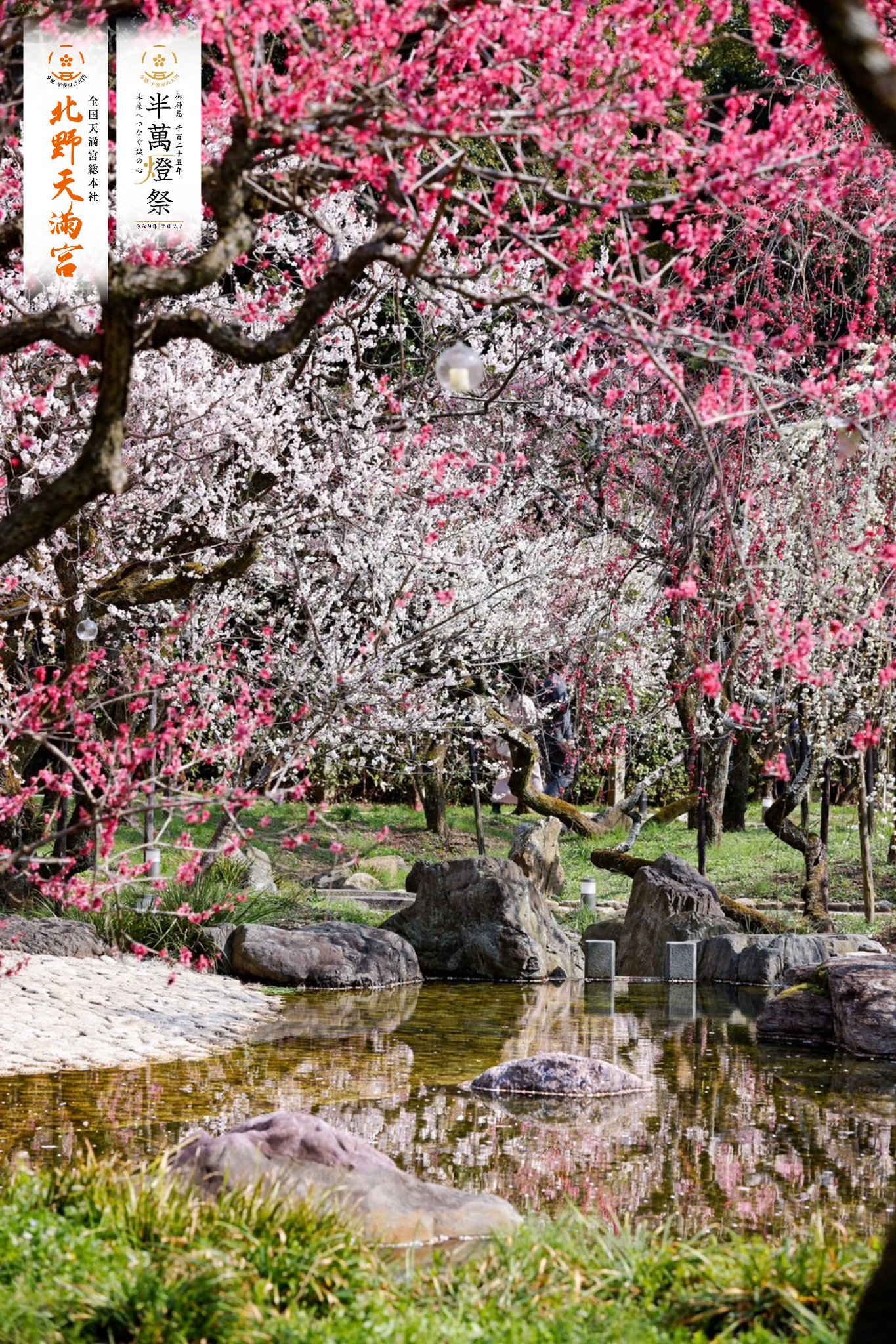 宮本的北京写真日記 宮本的北京写真日記 Amazon.co.jp: 宮本独歩。 宮本的北京写真