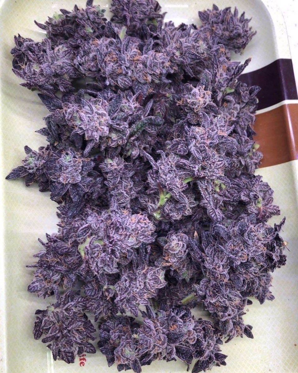 Who can come up with the best strain name?!