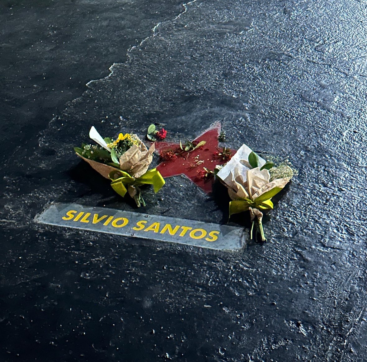 TiagoOad's tweet photo. EXCLUSIVO 🚨 Vaga de Silvio Santos no estacionamento do SBT pode deixar de existir. Saiba mais em: 

https://t.co/f0duuQJHCs https://t.co/QcXoPzw2bK