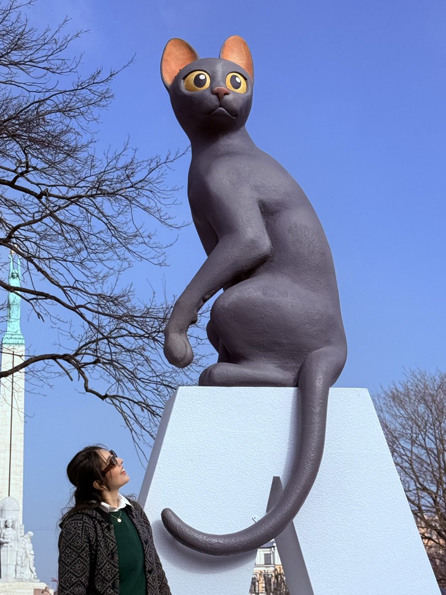 AdaliFrias's tweet photo. En esta cuenta apoyamos tan fuerte y con todo a Flow que me subí a un avión para ir conocer al ídolo en persona 🐈‍⬛ 
🇲🇽🤝🏻🇱🇻  @gintszilbalodis https://t.co/tP9oPKvl5o