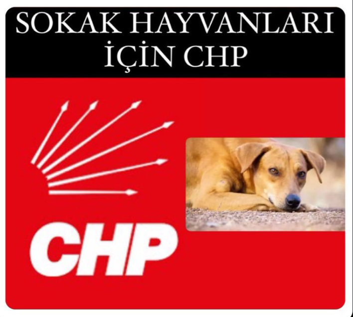 Sözde hayvansever, özde köpek dilencileri yine işbaşında.

Her konudan menfaat devşirme peşindeler.
Gösterileri kaosa dönüştürüp köpeklerin toplanmasını sekteye uğratmaya çalışıyorlar.

⚠️ Bunlarla iş tutan KAYBEDER!  

DIŞLAYIN!

<a href="/herkesicinCHP/">CHP 🇹🇷</a> <a href="/eczozgurozel/">Özgür Özel</a>