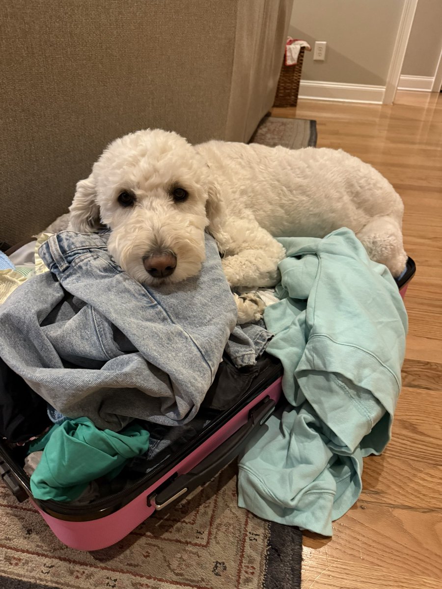 Bart Walker tweet media