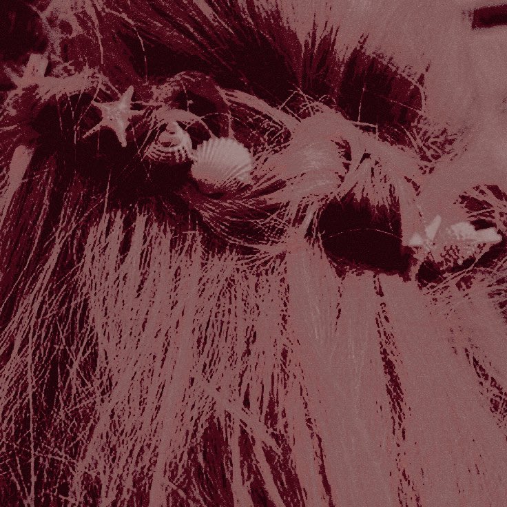 * 𝓢𝑲𝑨𝑻𝑬𝑹 𝓑𝑨𝑹𝑩𝑰𝑬 tweet media