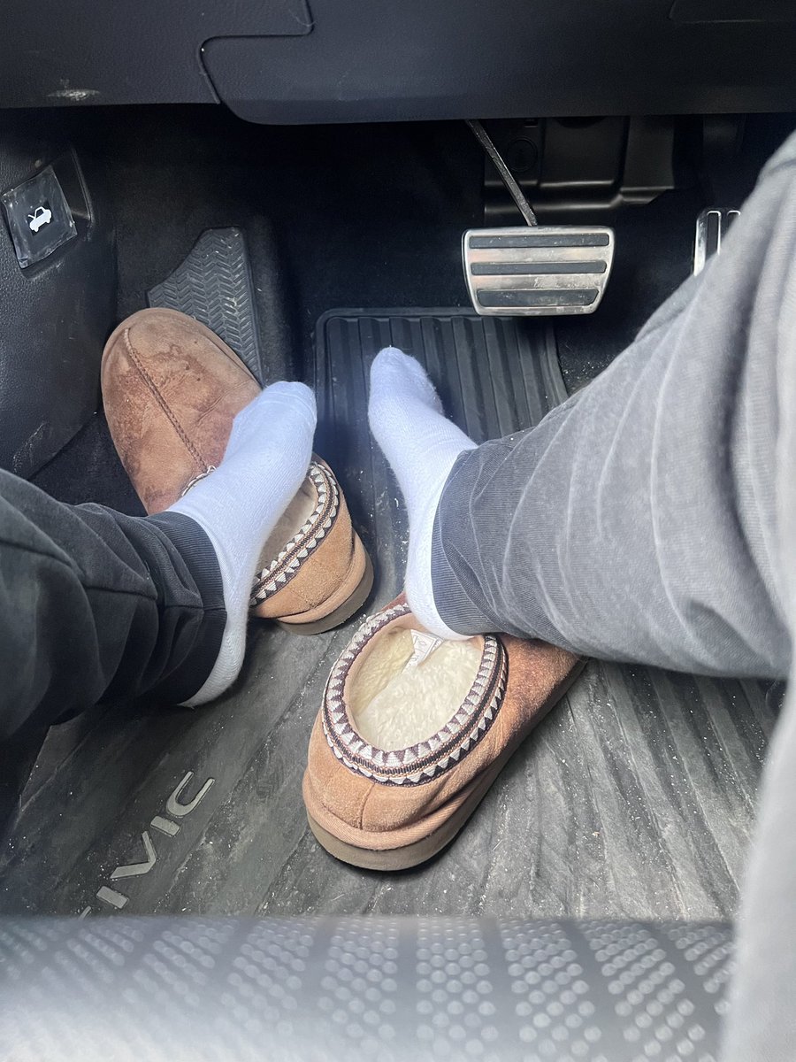 Master Marcello tweet media