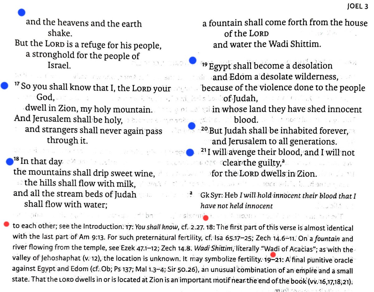 TeXasMadde's tweet image. #ApocalypticBookStudy #37

🏞💥 🎆 Joel 3:1-21 -Yahweh’s judgement in the eschatological (end times) Valley of Jehoshaphat

📜🗝 ✴️ Oracles against Tyre, Sidon, Philistia 

⛓️🛳 🌊 Greek demand for Judean slaves surged in 800s BCE, fueling Mediterranean human trafficking by Sea !