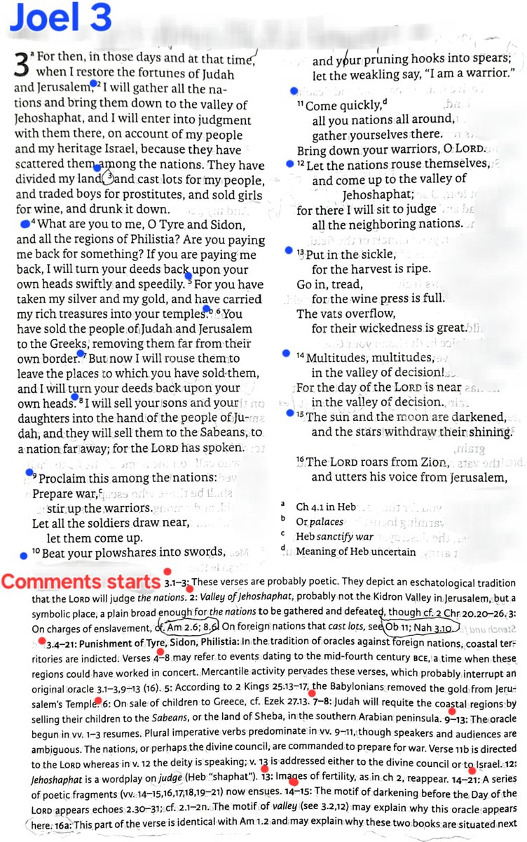 TeXasMadde's tweet image. #ApocalypticBookStudy #37

🏞💥 🎆 Joel 3:1-21 -Yahweh’s judgement in the eschatological (end times) Valley of Jehoshaphat

📜🗝 ✴️ Oracles against Tyre, Sidon, Philistia 

⛓️🛳 🌊 Greek demand for Judean slaves surged in 800s BCE, fueling Mediterranean human trafficking by Sea !