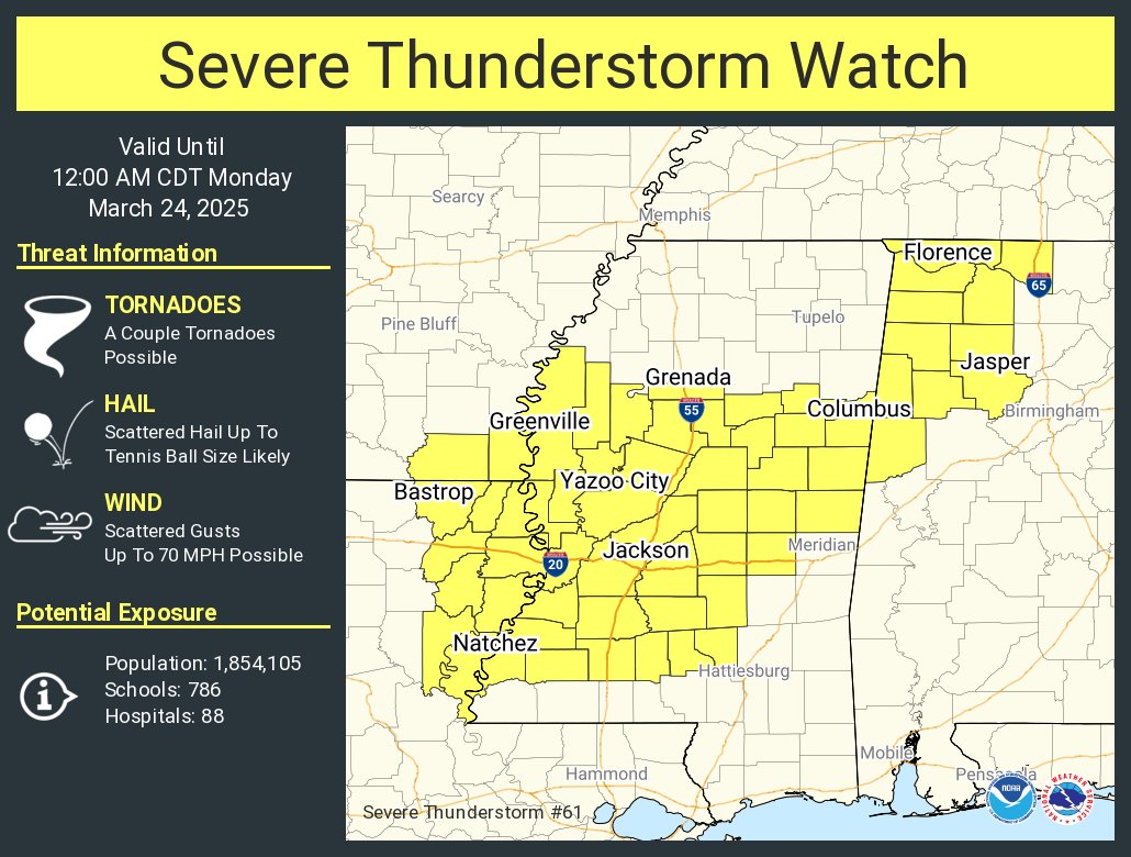 A severe thunderstorm watch has been issued for parts of Alabama, Arkansas, Louisiana and Mississippi until 12 AM CDT