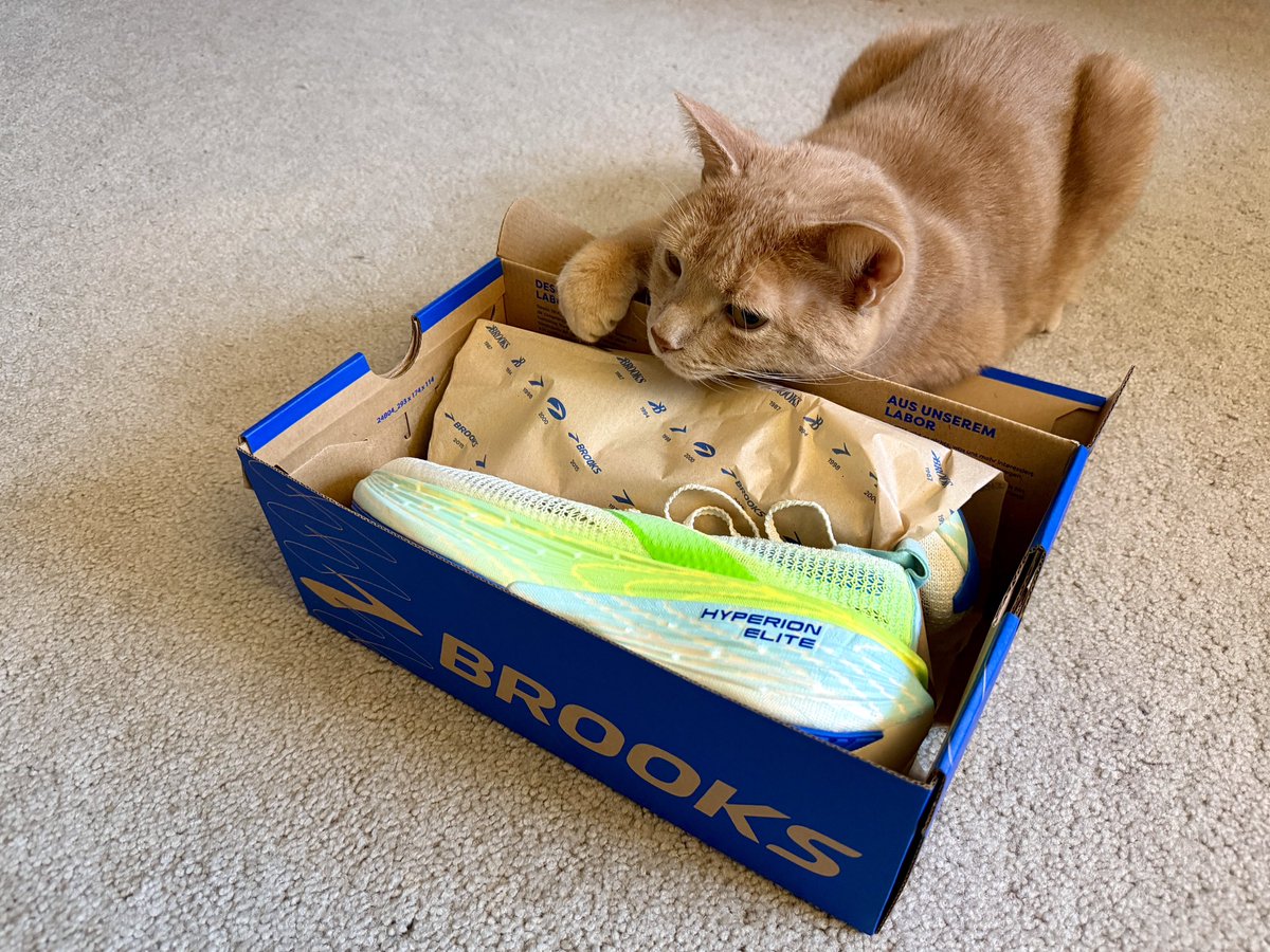 Janet Boltz tweet media