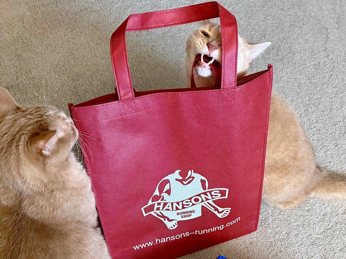 Janet Boltz tweet media