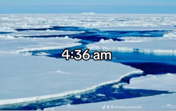 davidsummerall's tweet image. pic from my swim this morning  #riseandgrind #hustle #theynotlikeus 🥶