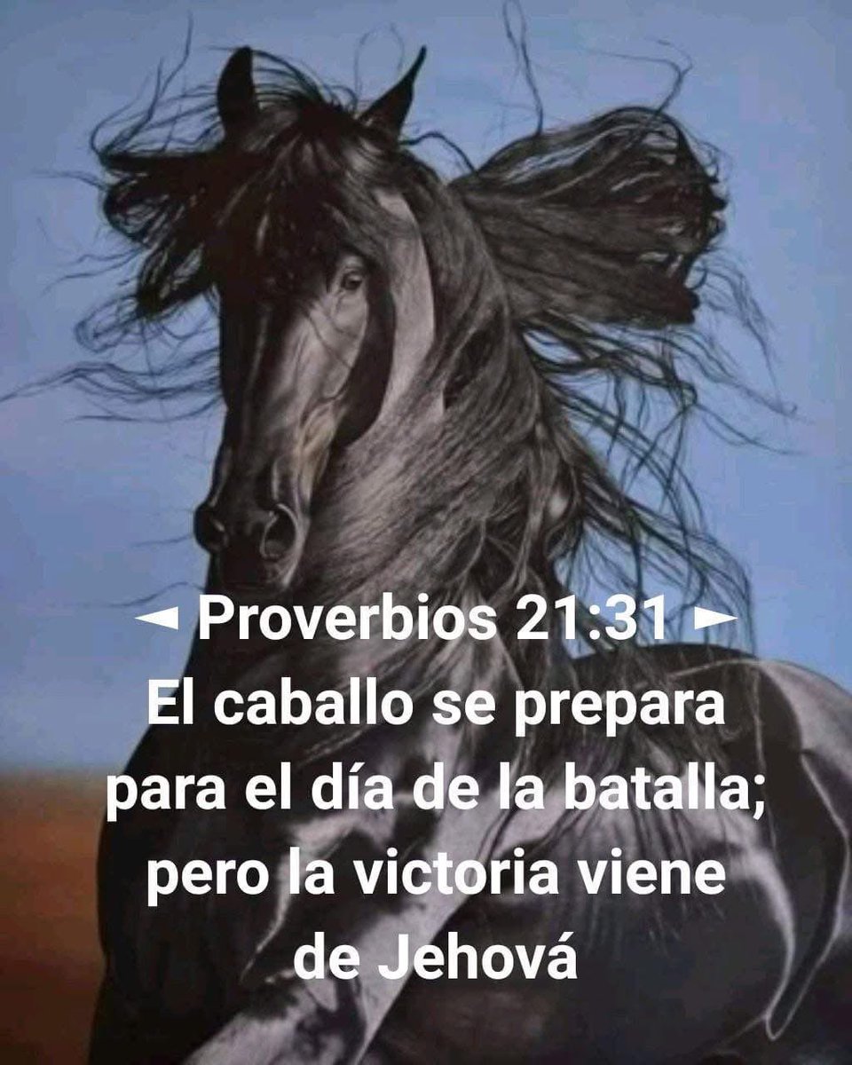 Joselynne 🌷 (@ercimelgar) on Twitter photo 