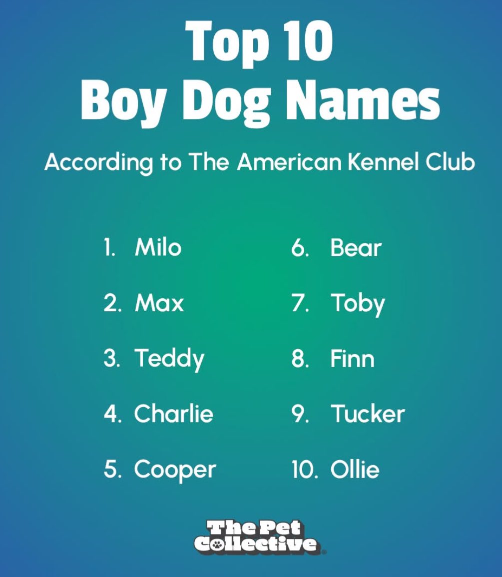 caryapr's tweet image. Milo?!? Really! #notpossible