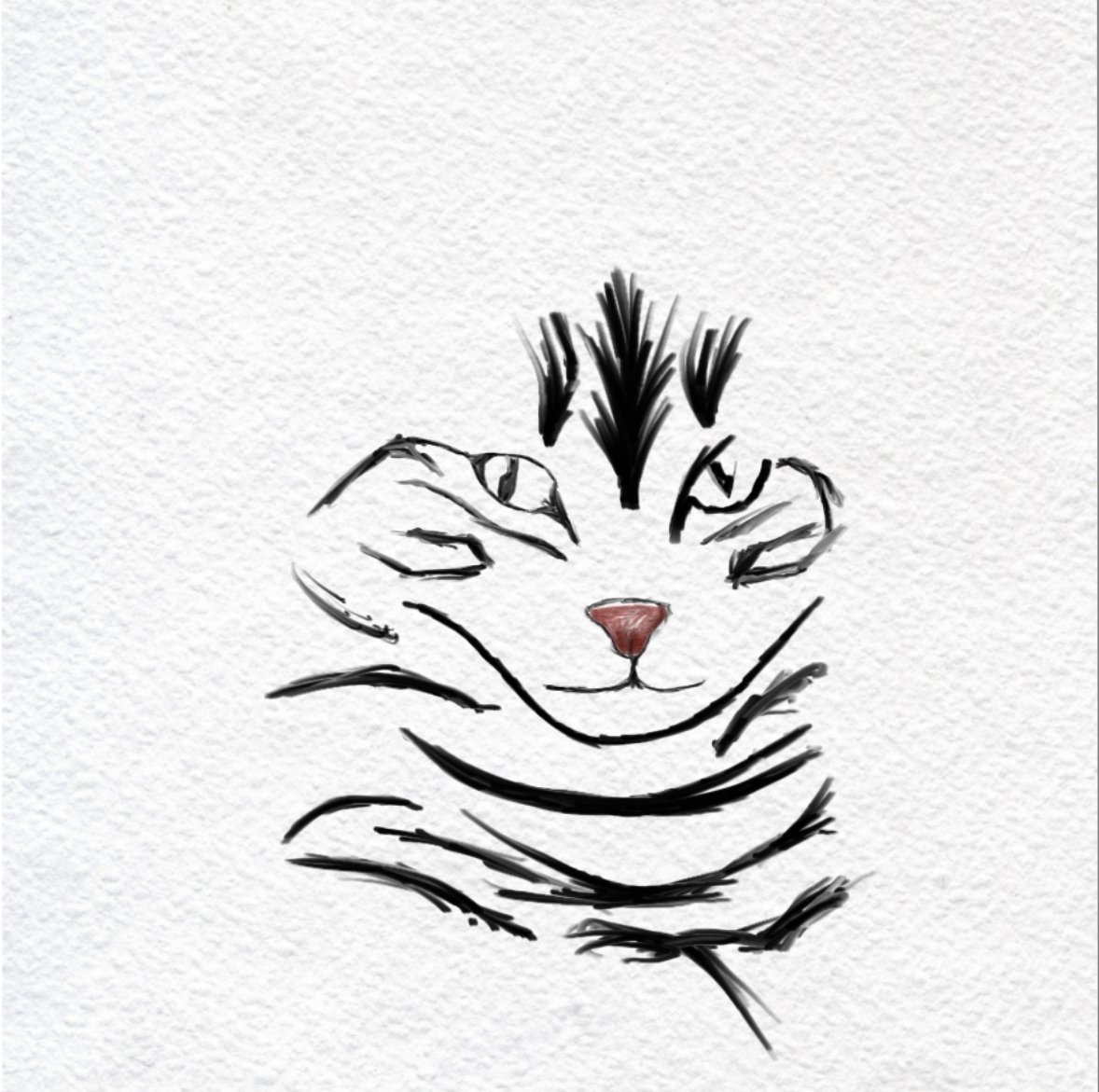 Shadeezxd's tweet image. Literally I don't even know how I got from there to here or that it was possible on my phone. And yes made this on my phone as I have with ALL the cats