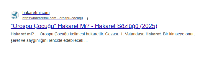 hangi kelimeler hakaret hangileri değil diye araştırırken benim history