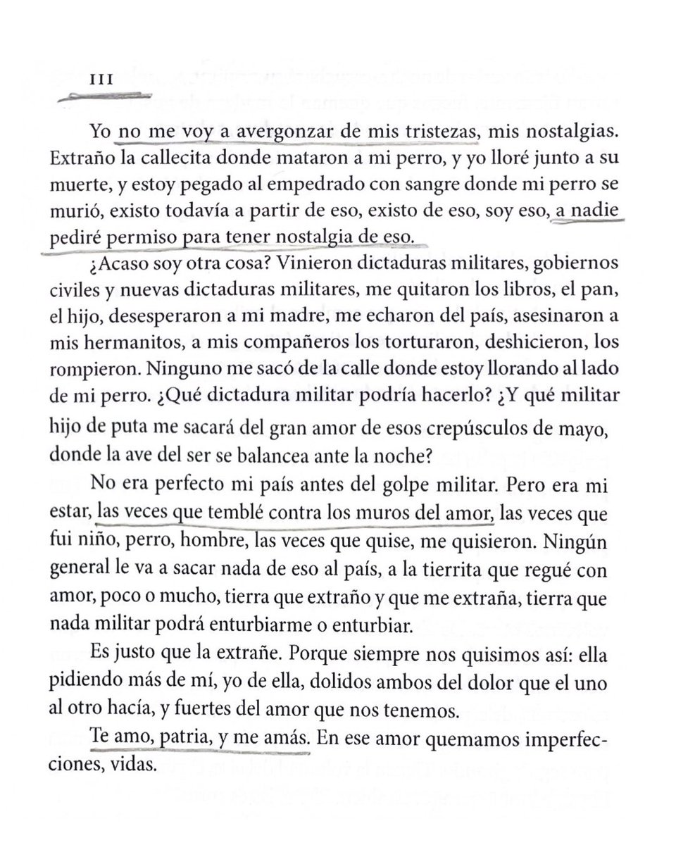 camila mermet tweet media