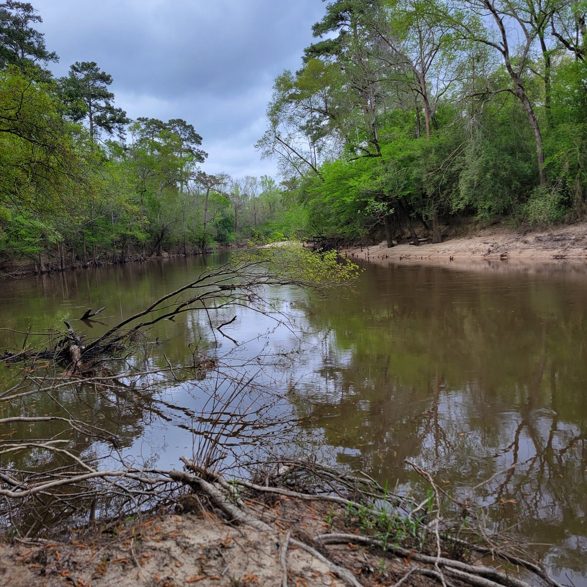 West (@gowestcoffee) on Twitter photo 