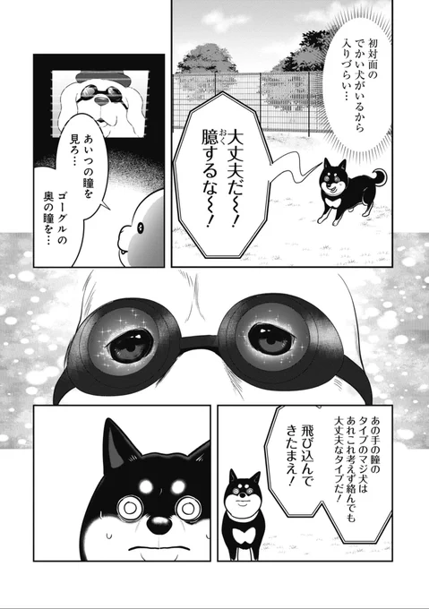 ドッグランにきたパリピたち🐕3 