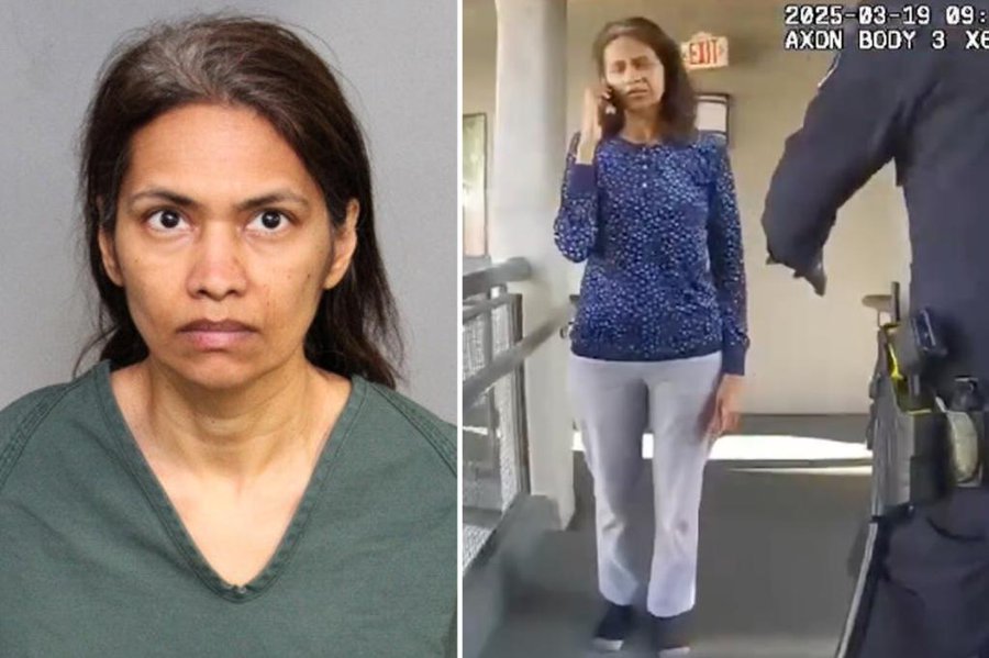 The General tweet media