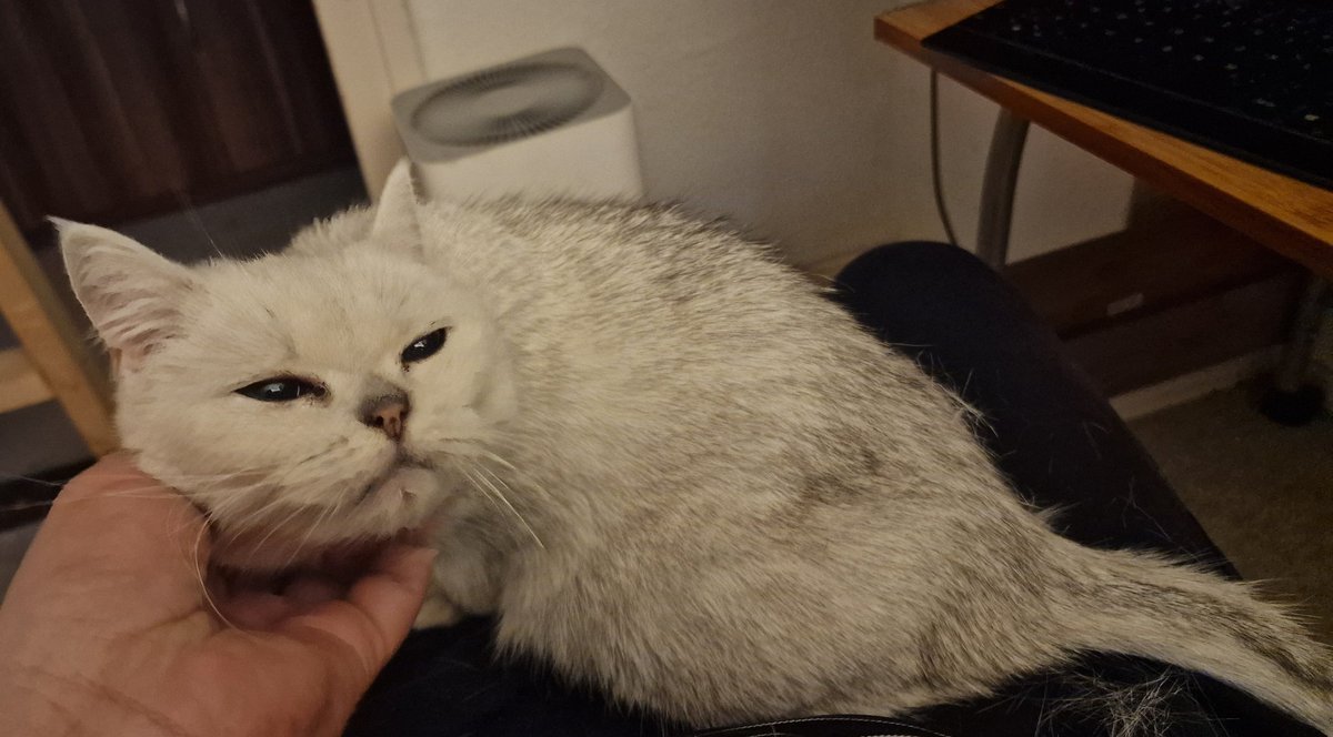 Ich bin hier nicht, um Freundschaften zu schließen, nicht, um Kooperationen einzugehen, nicht, um Süchtigen zu helfen, und sicher nicht, um ohne Tribut zu unterhalten. Mich interessiert nur Geld, nur Geld und nur Geld. Was mit deiner Psyche passiert, interessiert mich nicht.