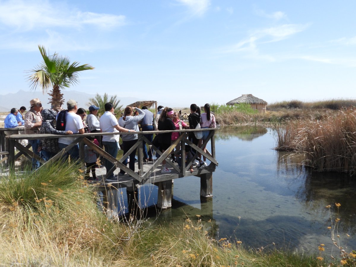 CONANP_mx's tweet photo. Participamos en el evento "La Magia del Agua" con dos conferencias para dar a conocer el estado actual de los #Humedales del APFF #Cuatrociénegas, la problemática que enfrentan y las acciones que se realizan en colaboración con actores clave para lograr su recuperación. 🌿🌊🏜️ https://t.co/GhPUO503rx