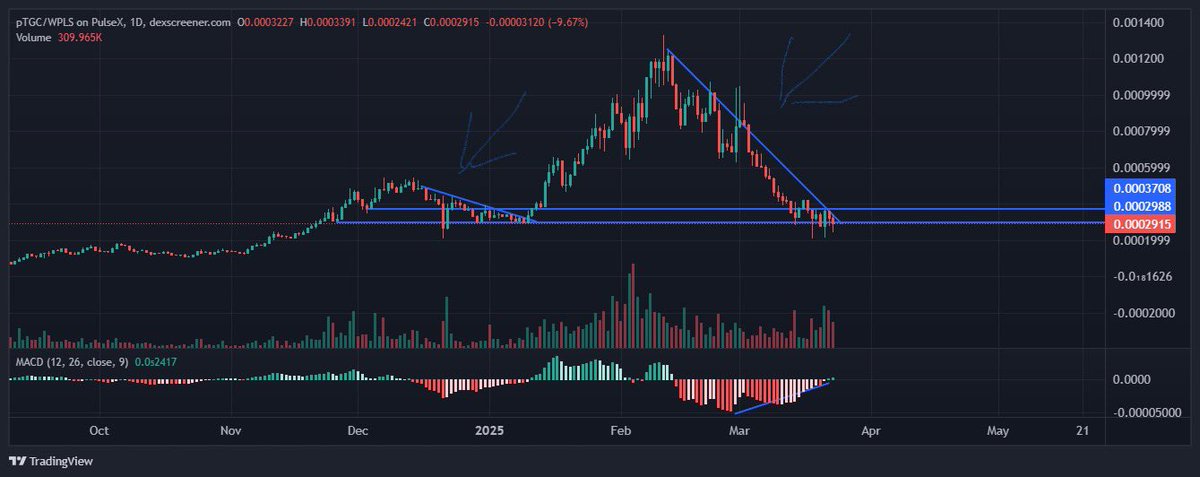 Pulsidon's tweet image. What happens next? #ptgc 

Buckle the fuck up! The cannon is loaded!