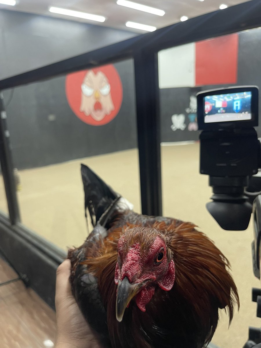 This $BOCK is up to something, can you guess???