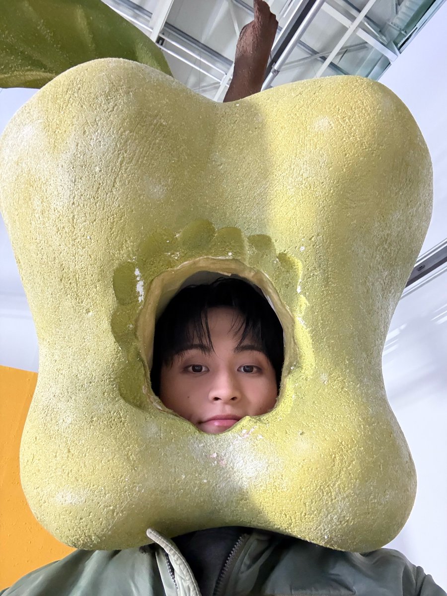 250324 🐯💬 UPDATE