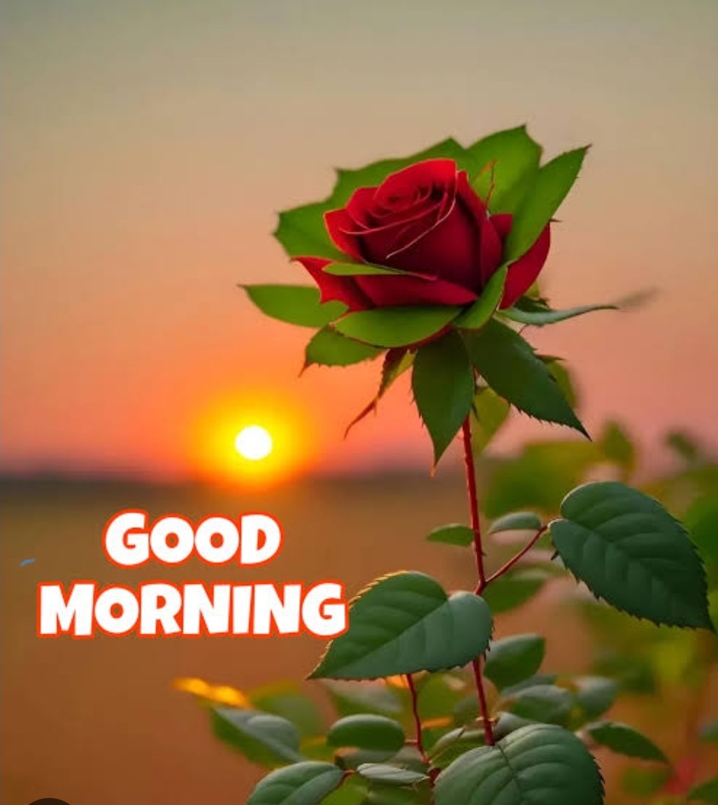 How's your day started ?

Happy Payout week 🥳