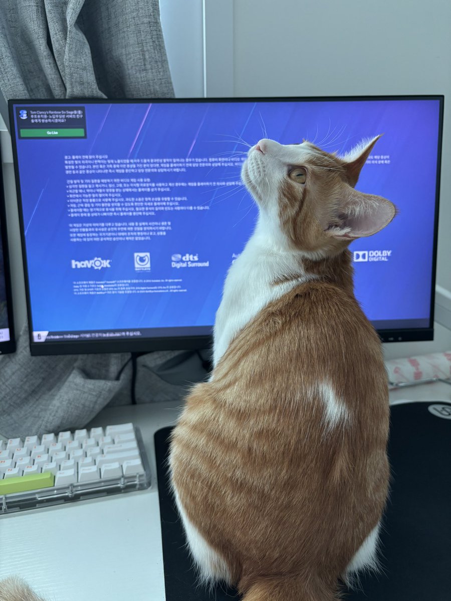 pluto_0h's tweet image. 주말 내놔……..