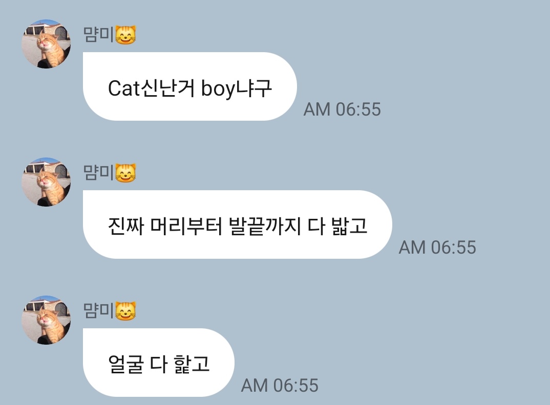 NNFF_som's tweet photo. 아침에 바빠서 프롬 이제야 봤는데 오빠 열심히 깨우는 로망이가 너무 귀여움 ㅠㅠ https://t.co/BltTpWDpLG